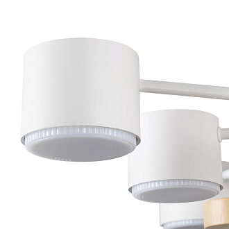 Потолочный светильник 69*20 см, 10*GX53 Lumion Rondo 8196/10C белый,дерево