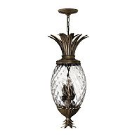 Подвесной светильник Hinkely Lighting, Арт. HK-PLANT4-P-PZ