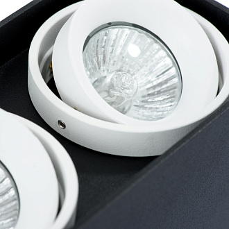 Накладной светильник Arte Lamp A5655PL-2BK черный