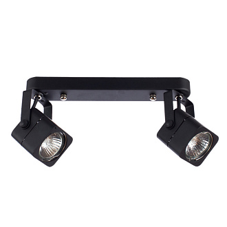 Спот Arte Lamp Lente A1314PL-2BK, черный