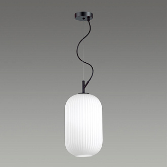 Светильник подвесной Roofi 4751/1 Odeon Light, диаметр 20 см, черный