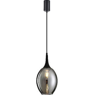 Подвесной светильник 18 см, F-Promo Dubbel 4361-1P, черный