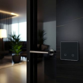 Радиовыключатель сенсорный HiTE PRO SN-R2 (Графит, закругленные углы) HPSW-SNR2-CR