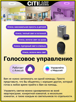 Светильник 52 см, 65W, 3000K-5500K Citilux Стратус Смарт CL732A520G белый