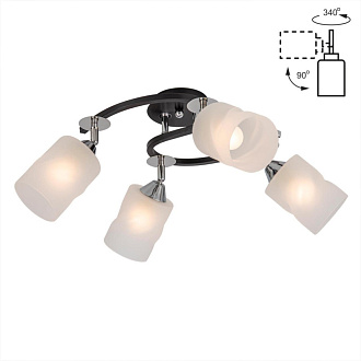 Люстра Citilux Сиерра CL119241 черный