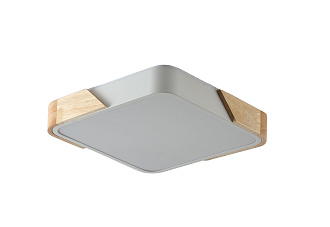 Светильник 30*30*5 см, LED 24W 4000K белый Zortes Alberro ZRS.01285.24