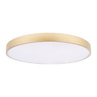 Потолочный светильник 60*5 см, 1*LED*48W 4000K золото LOFT IT Flims 10228/B