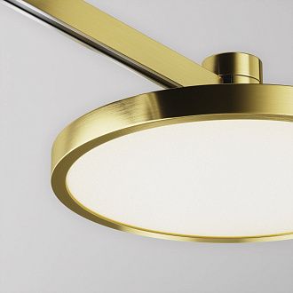 Трековый светильник Plato Flarity 4000K 10Вт 120°, 5,4 см, LED*10W, Maytoni TR153-1-10W4K-BS, Латунь