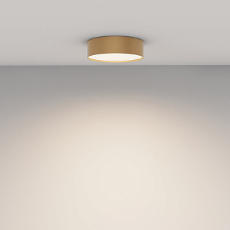 Накладной светильник 22*22*6 см, LED, 24W, 4000К, Maytoni Technical Zon C032CL-24W4K-RD-MG золото матовое