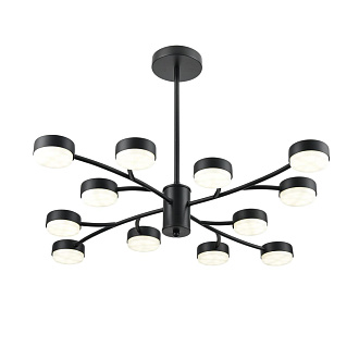Люстра 80*45 см, 12*GX53 Lumion Torina 8117/12 черный