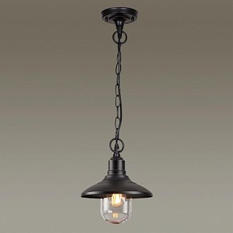 Уличный подвесной светильник Odeon Light Campa 4965/1, черный