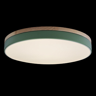 Светильник 50 см, 36W, 4000K, Loft IT Axel 10001/36 green, зеленый