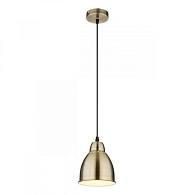 Подвесной светильник Arte Lamp Braccio A2054SP-1AB, бронза