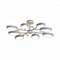 Потолочный cветильник LED4U L3221-850 GR