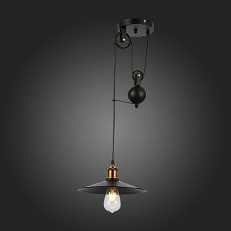 Светильник подвесной 30 см,  EVOLUCE ESPERAZZA SLE120503-01 Черный