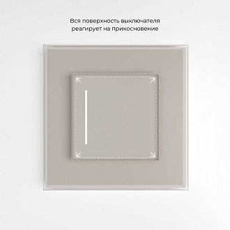 W4512014 Сенсорный выключатель одноклавишный с подсветкой, дымчатый Werkel, 4690389213854