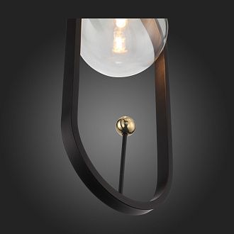 Подвес 17*13 см, ST LUCE CIRCONO SL1201.403.01 Черный