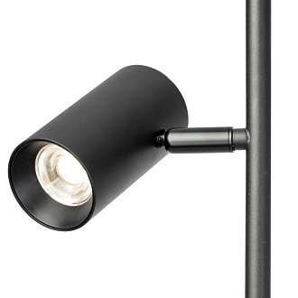 Торшер Citilux CL809011N Twin Черный 