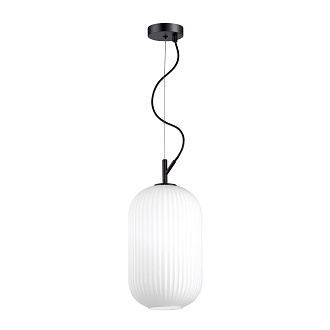 Светильник подвесной Roofi 4751/1 Odeon Light, диаметр 20 см, черный
