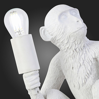 Прикроватная лампа Evoluce Tenato SLE115104-01 Белый