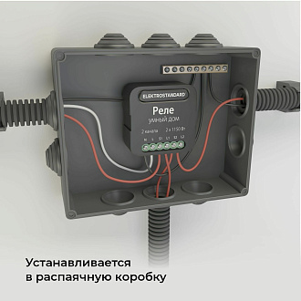 Умное двухканальное реле 76007/00 Elektrostandard