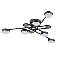 Люстра **16- см, 1*LED*42W, 3000-6400K, Arte Lamp Taygeta A2455PL-6BK, Черный