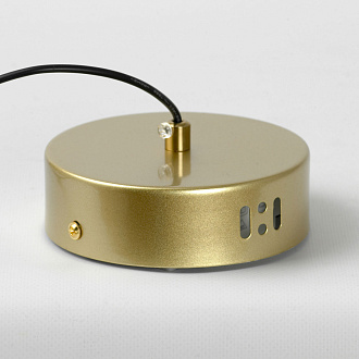 Подвесной светильник 18*12*40/170 см, 1*LED*8W 4000K Lussole Alachua LSP-7182 матовое золото