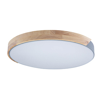 Светильник потолочный LOFT IT LED Axel 10004/36 Grey, 36W LED, 4000K, серый