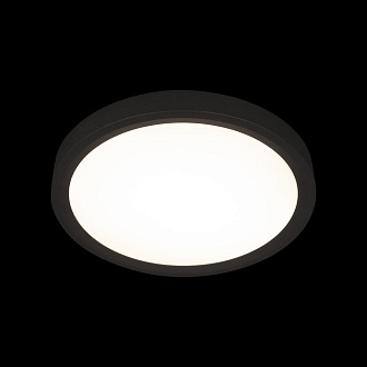 Потолочный светильник 30*3 см, 1*LED*24W 4000K черный LOFT IT Extraslim 10227/24 Black