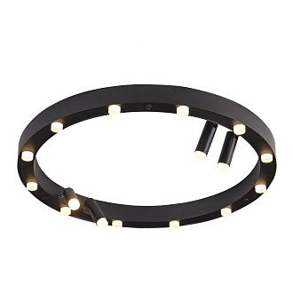 Люстра 65*65*7 см, 16*LED*48W, 3000K Gerhort G52134/16BK BK, Черный