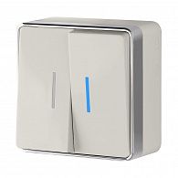 W5020103 Выключатель двухклавишный с подсветкой Gallant, слоновая кость Werkel, 4690389164187