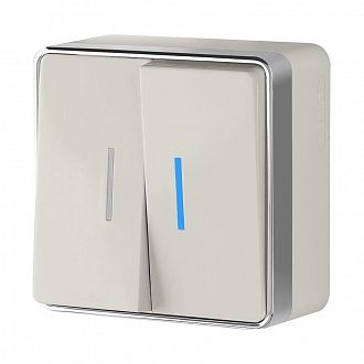 W5020103 Выключатель двухклавишный с подсветкой Gallant, слоновая кость Werkel, 4690389164187