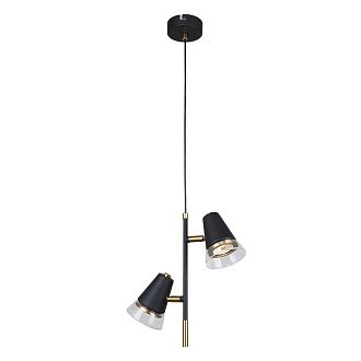 Подвес 29*42,5-160 см, 2*GU10, 35W, F-Promo Trandy 4618-2P, черный матовый