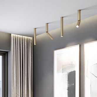 Накладной светодиодный светильник Pika 25030/LED 6W 4200K золото Elektrostandard