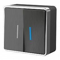 W5020104 Выключатель двухклавишный с подсветкой Gallant, графит рифленый Werkel, 4690389164194