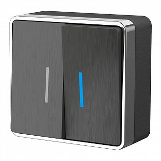 W5020104 Выключатель двухклавишный с подсветкой Gallant, графит рифленый Werkel, 4690389164194