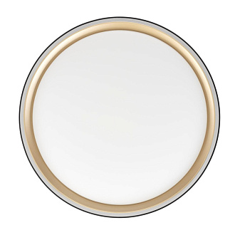 Светильник 30 см, 33W, 3000-5500K Citilux CL751251G BOSS Черный+Золото LED с пультом