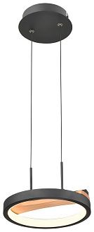 Подвесной светильник 19 см, 9W, Velante 450-023-01, черный