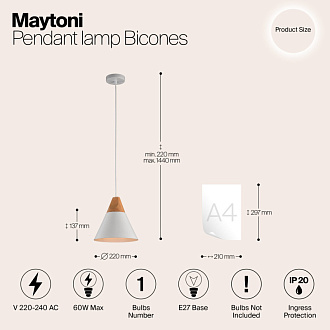 Подвесной светильник Maytoni Bicones P359-PL-01-W