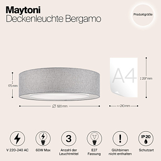 Светильник 50 см, 60W Maytoni Bergamo MOD613CL-04GR