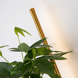 Бра Favourite Greenery 4050-2W, D210*W120*H800, светильник с подставкой для кашпо, золотой латуни, рассеиватель из белого акрила, кашпо входит в комплект