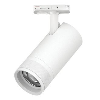 Светильник BARRA с тонким адаптером *8*17,6 см, *30W, 2700-4200-6000K, Lightstar Canno Pro C4306SS, Белый