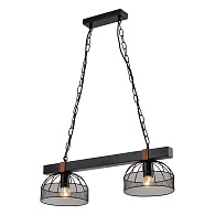 Линейно-подвесной светильник Lussole LSP-8799, 60*40 см, Черный