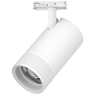 Светильник BARRA с тонким адаптером *9,4*18 см, *40W, 2700-4200-6000K, Lightstar Canno Pro C4406SS, Белый