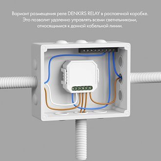 Wi-Fi реле Denkirs RL1002-SM белый