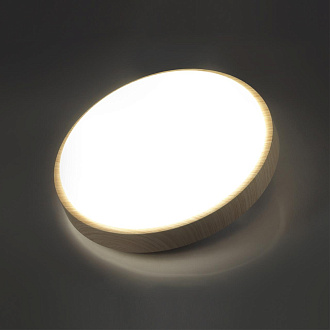 Cветильник 50*6 см, LED 72W, 3000-6000 К, IP43, белый/бежевый под дерево, пластик Sonex Losta, 7607/EL