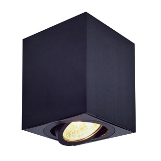 Светильник Черный Citilux Дюрен CL538213