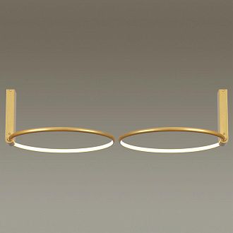 Бра Odeon Light Annel 4319/32CL, 32W LED, 3000K, золото