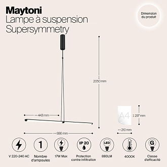 Подвесной светильник Supersymmetry P096PL-L11BK черный 