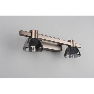 Бра 11*30*9 см 10W, 4000K, Aployt Rezeda APL.788.01.02, серый
